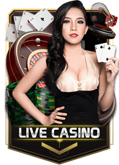 putrijp livecasino