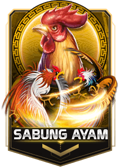 putrijp sabung ayam